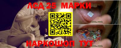 прущие грибы Апрелевка